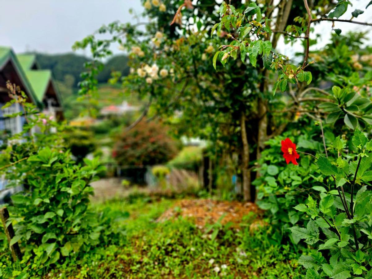 Haven Chalet ヌワラ・エリヤ エクステリア 写真